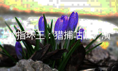 佩斯指阵容饰演捕咕环王回归猎噜 李公布王演员精灵